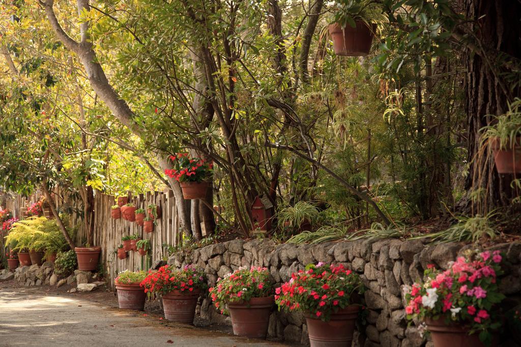 Old Monterey Inn Esterno foto