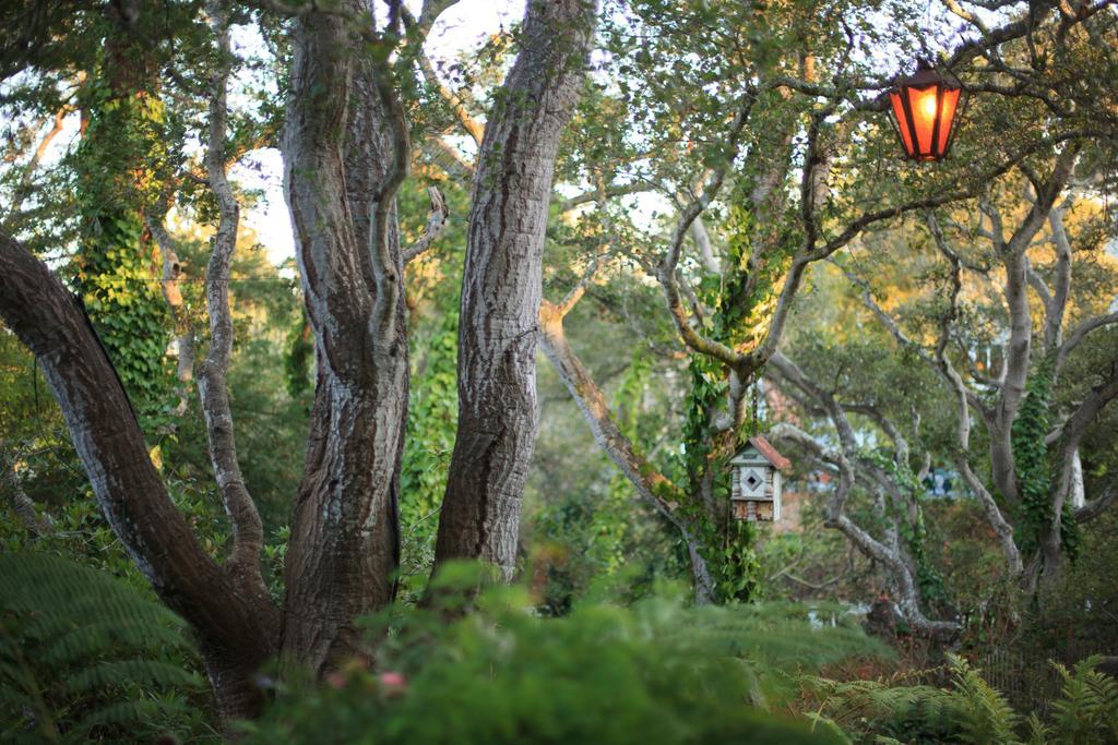 Old Monterey Inn Esterno foto